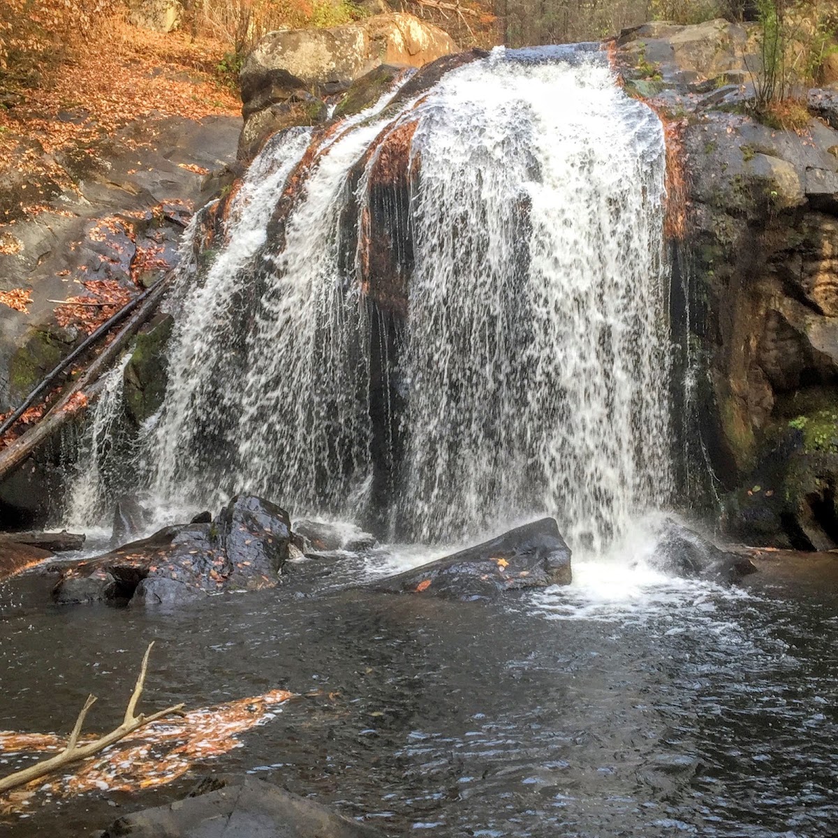 Turtletown Creek