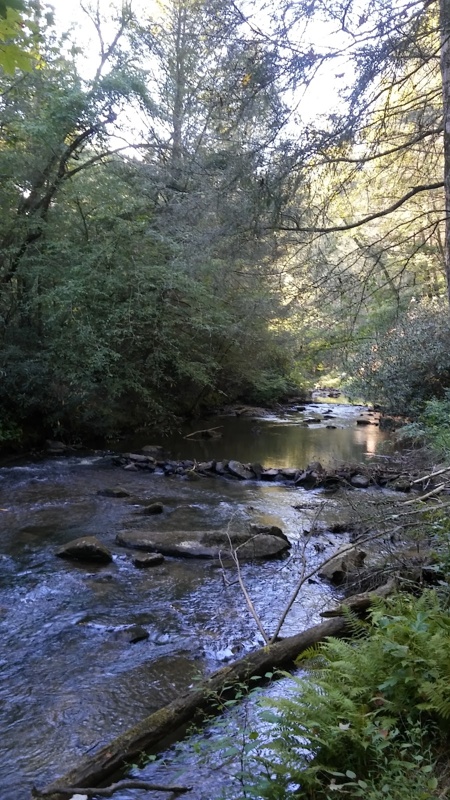 Fightingtown Creek