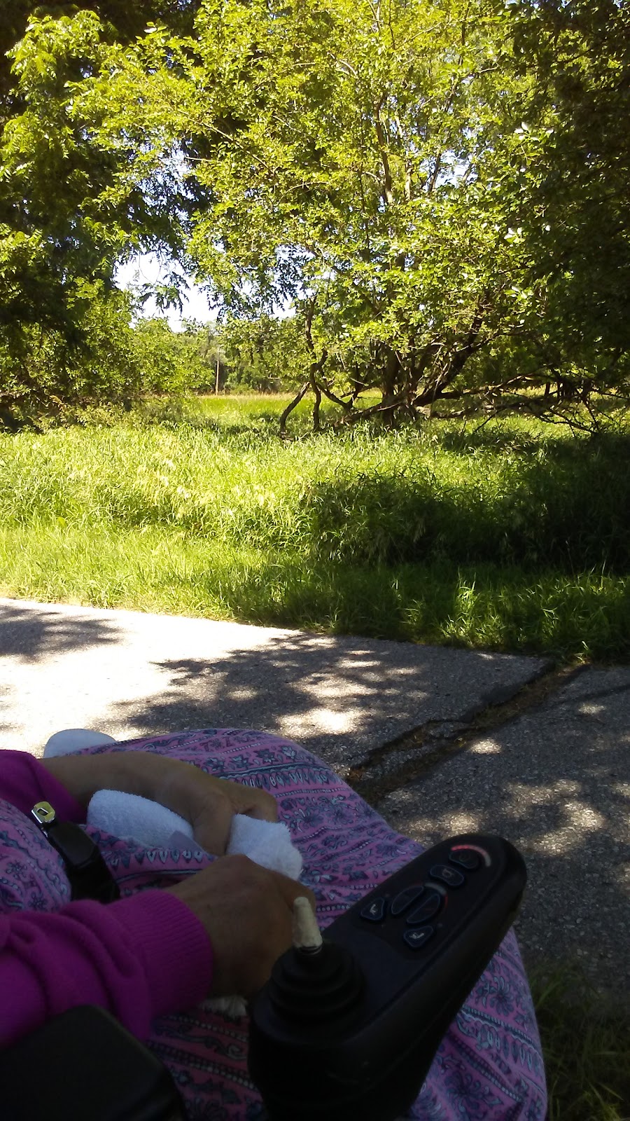 Mosquito Creek