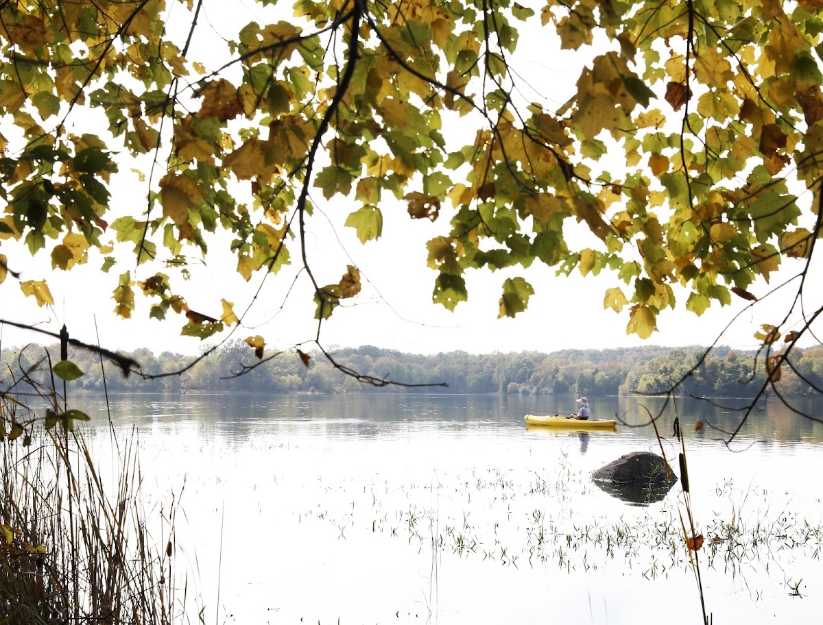 Beaverdam Reservoir