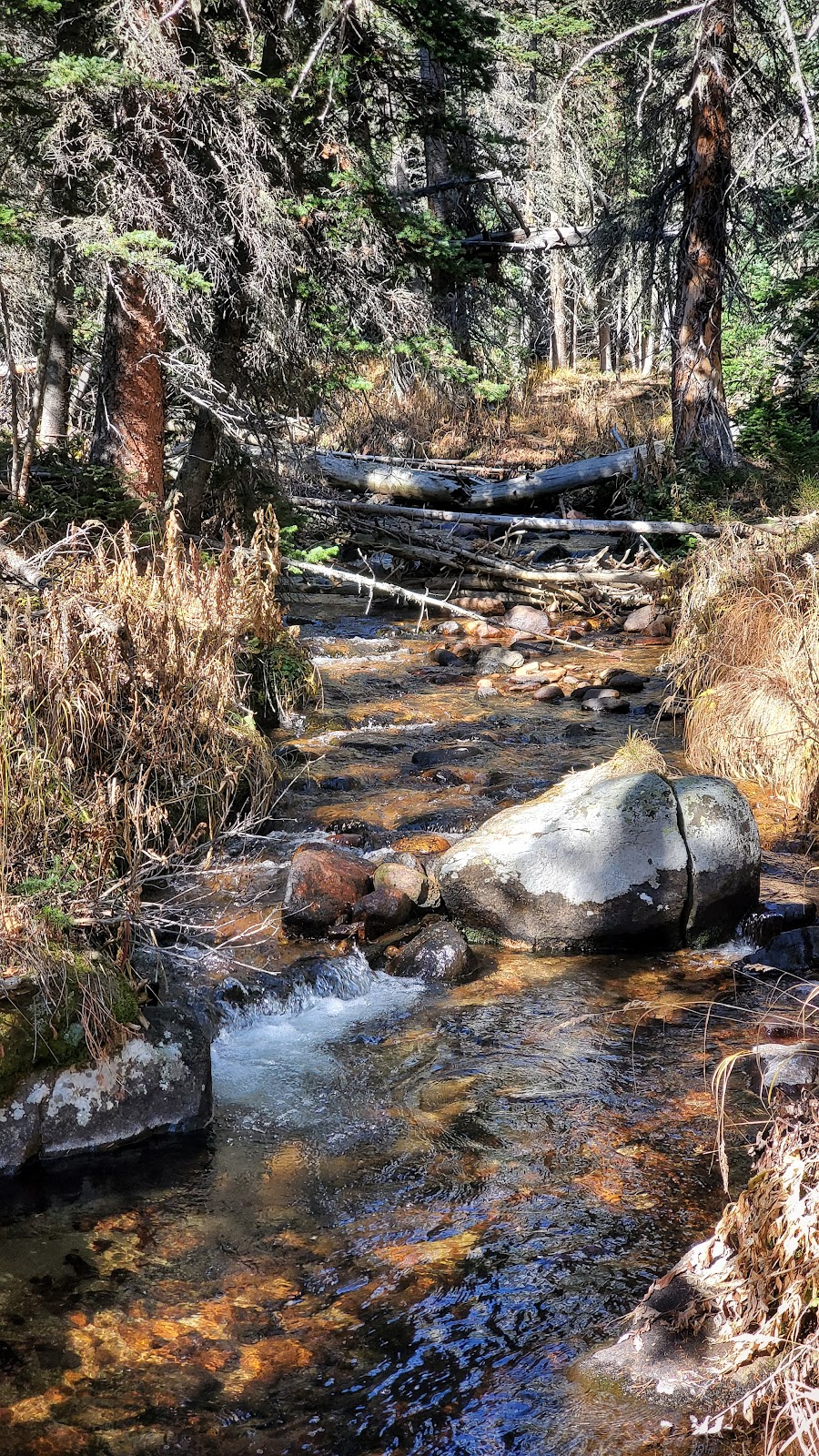 Hunters Creek