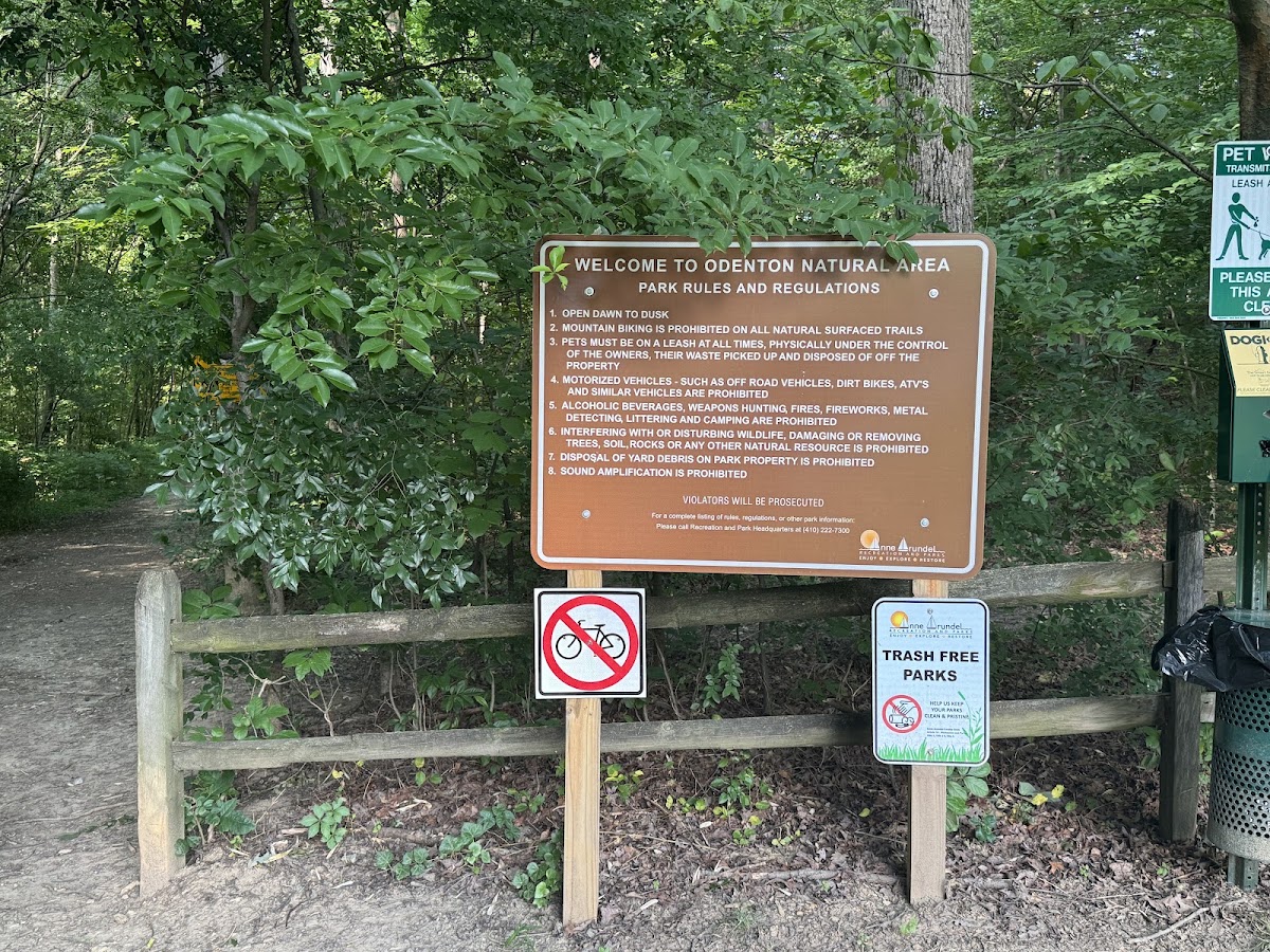 Odenton Natural Area