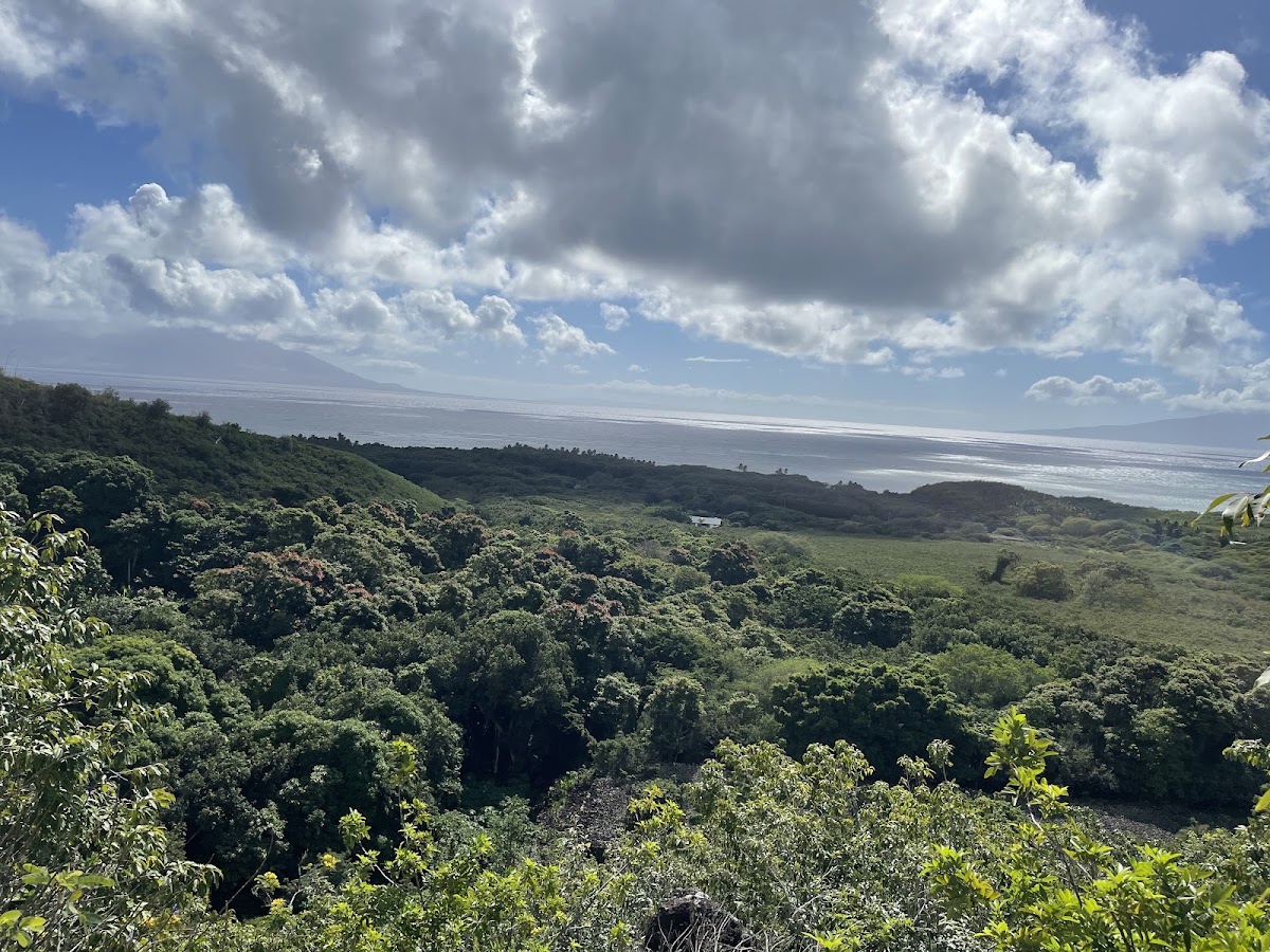 Wailau Trail