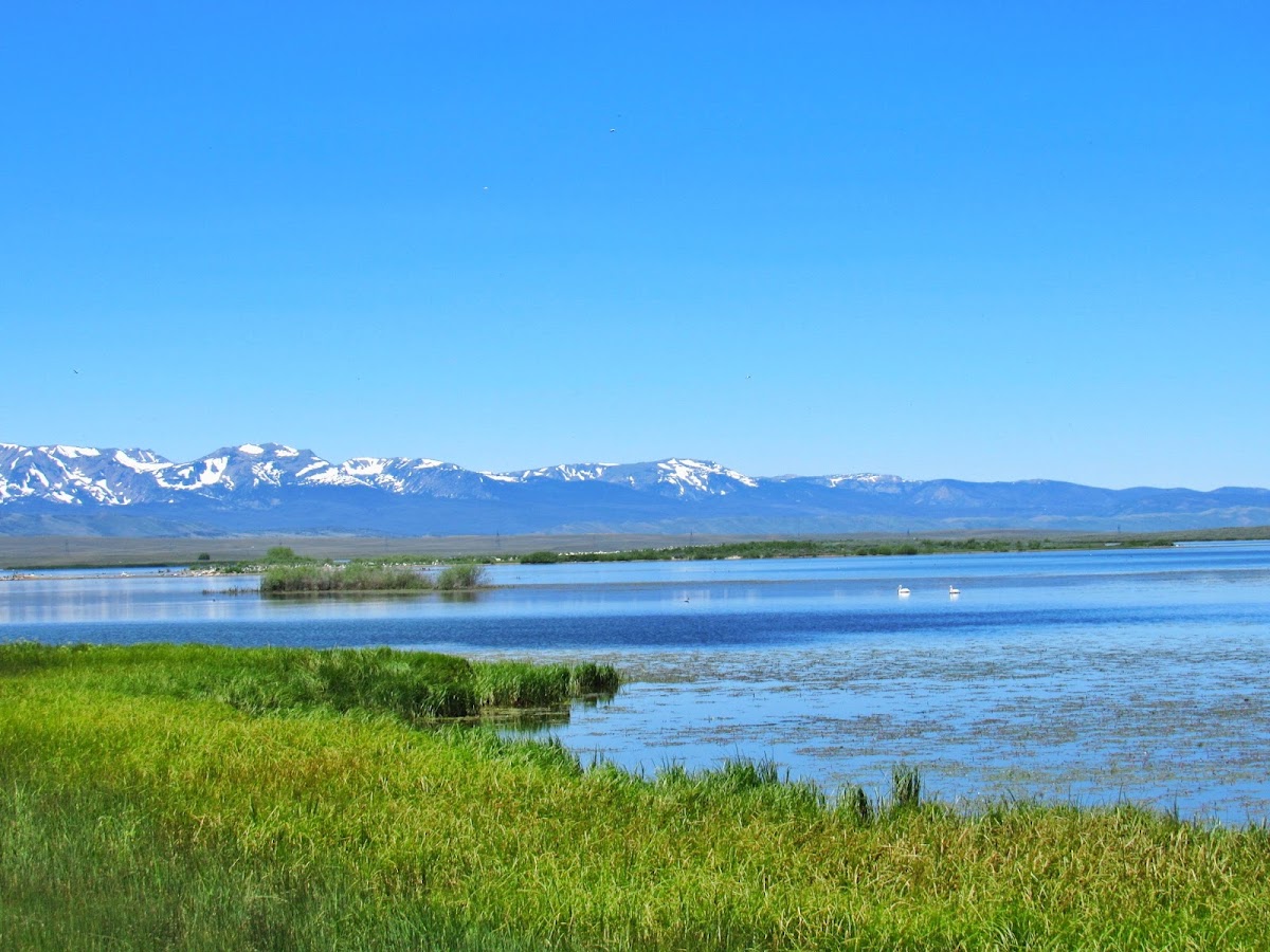 Walden Reservoir