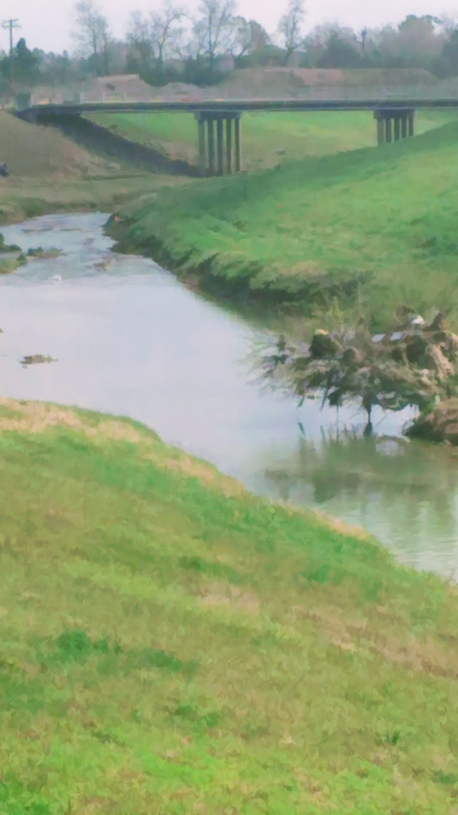 Greens Bayou