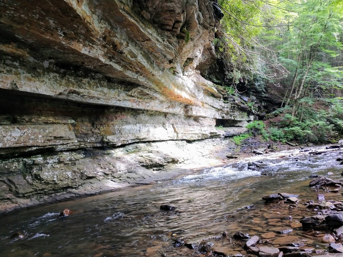 Swallow Rock Trail