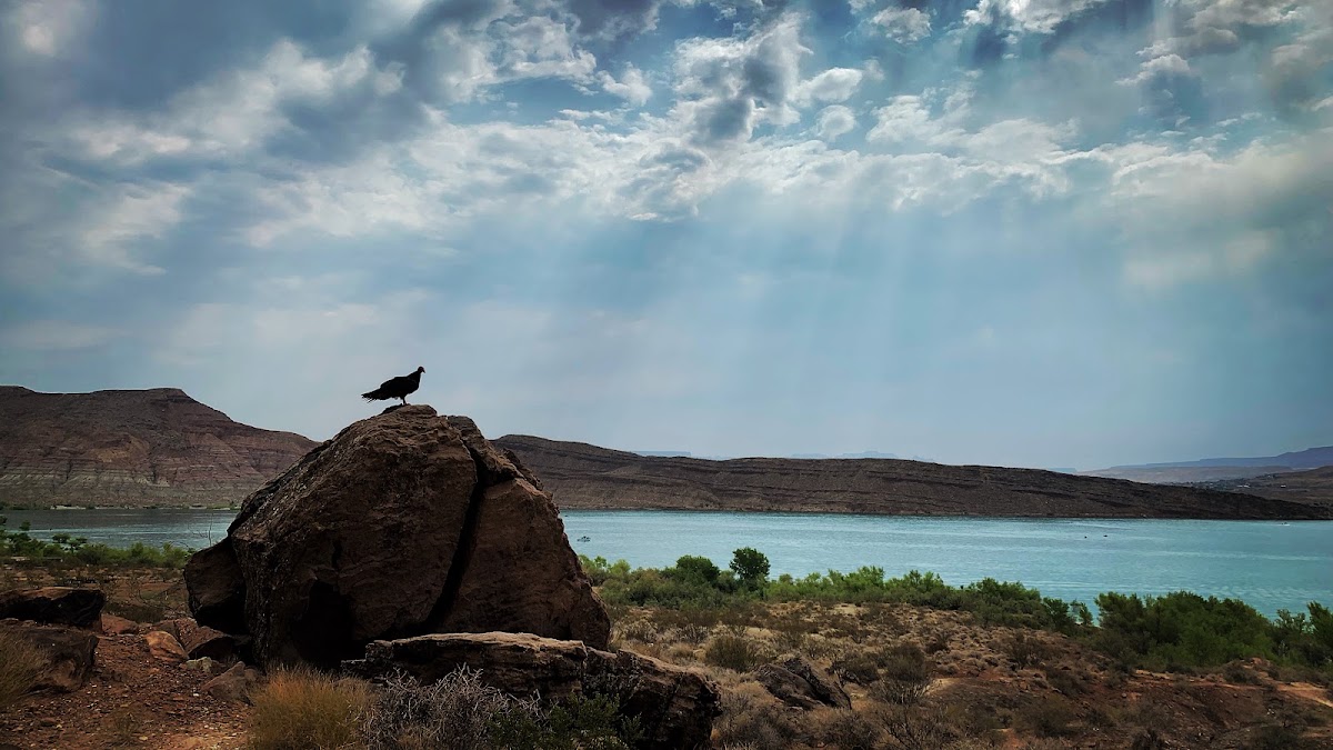 Quail Creek State Park