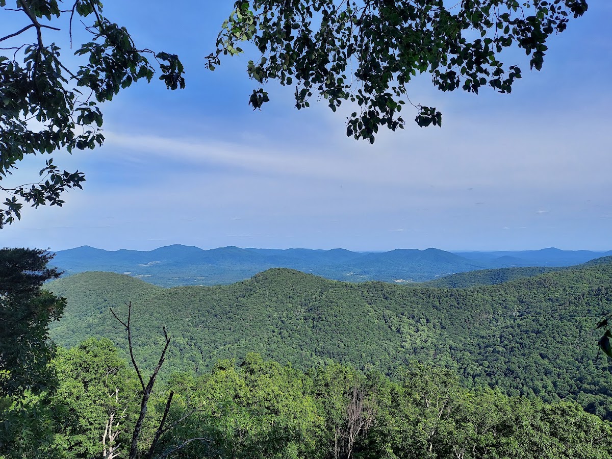 Jack Albright Loop