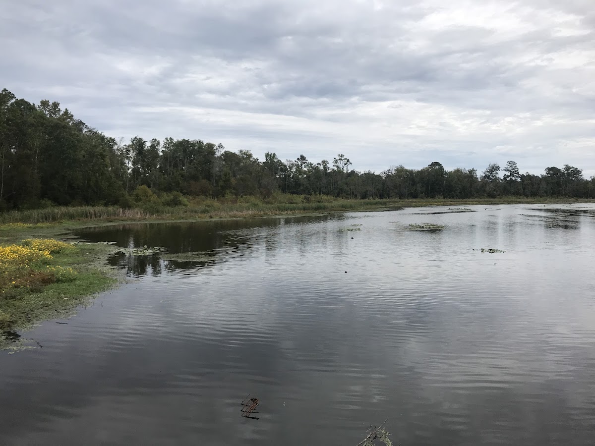 Oakdale Lake