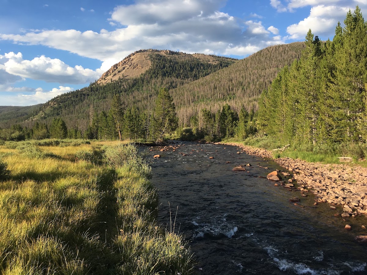 East Fork