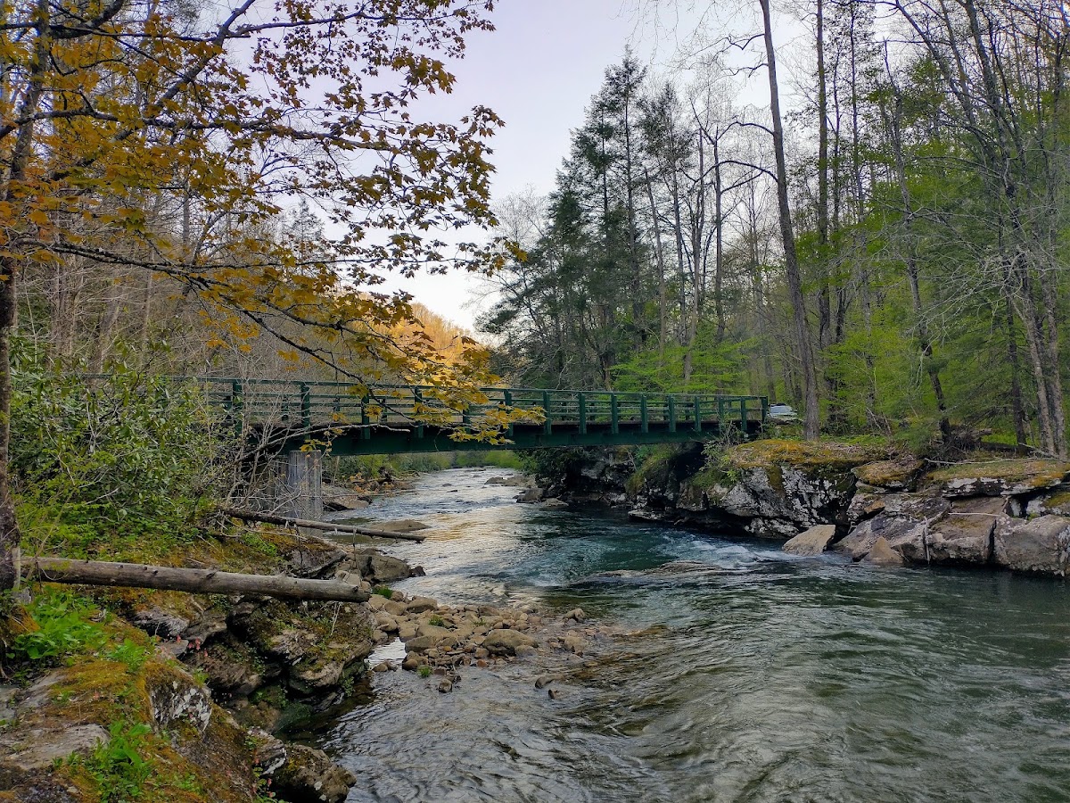 Back Fork Elk River