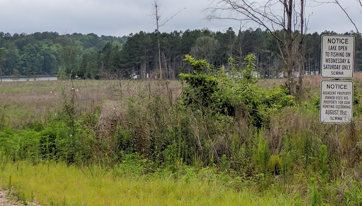 Dargan's Pond