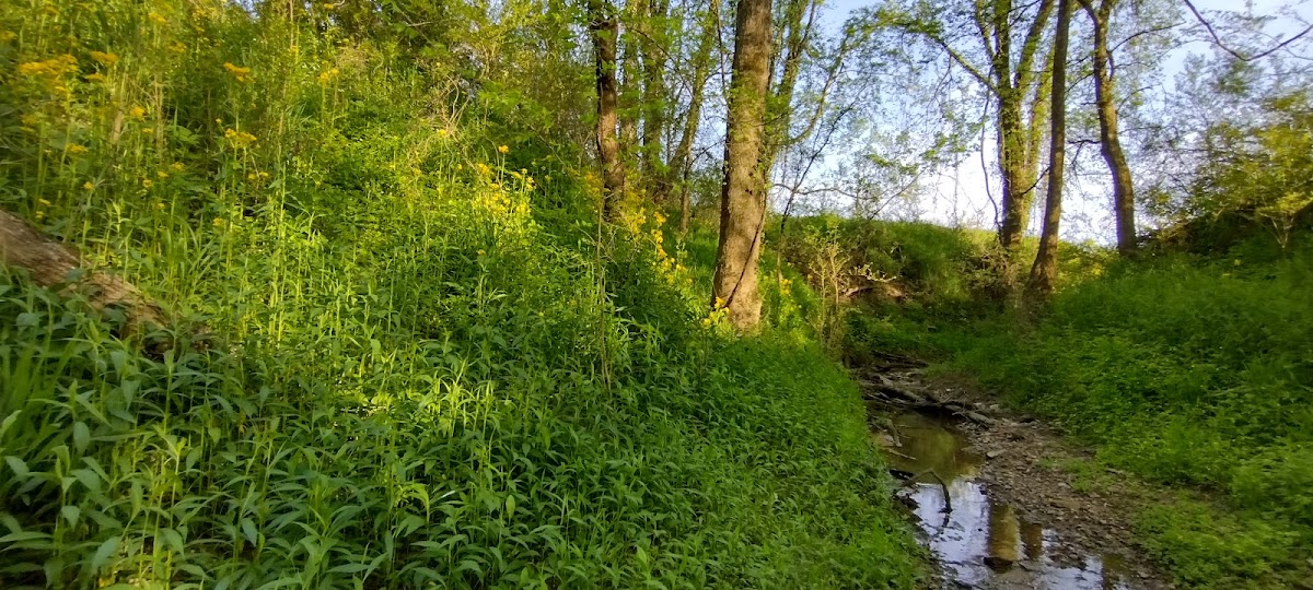 Elk River