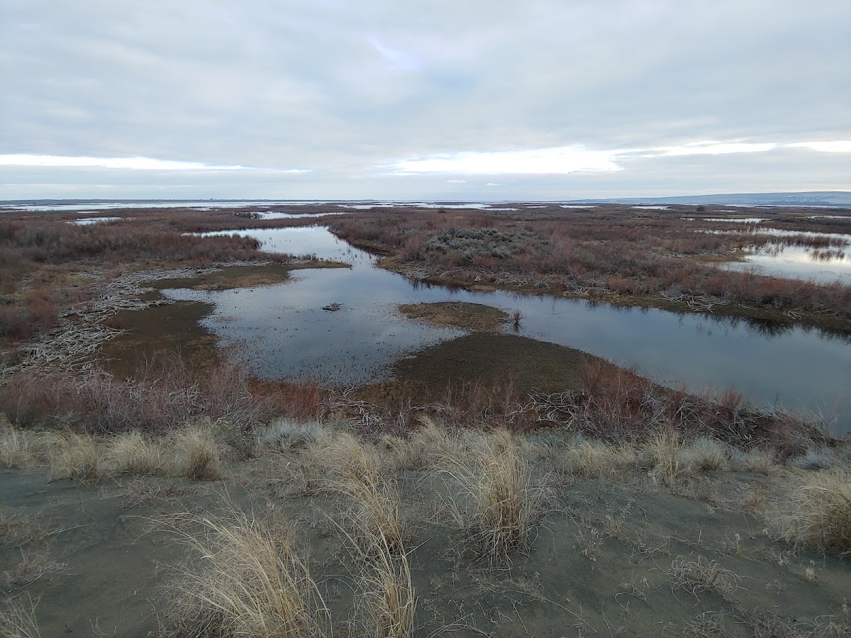 Potholes Reservoir