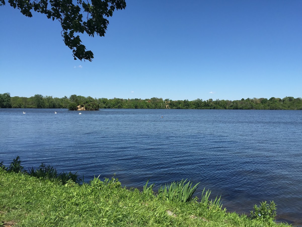 Ford Lake