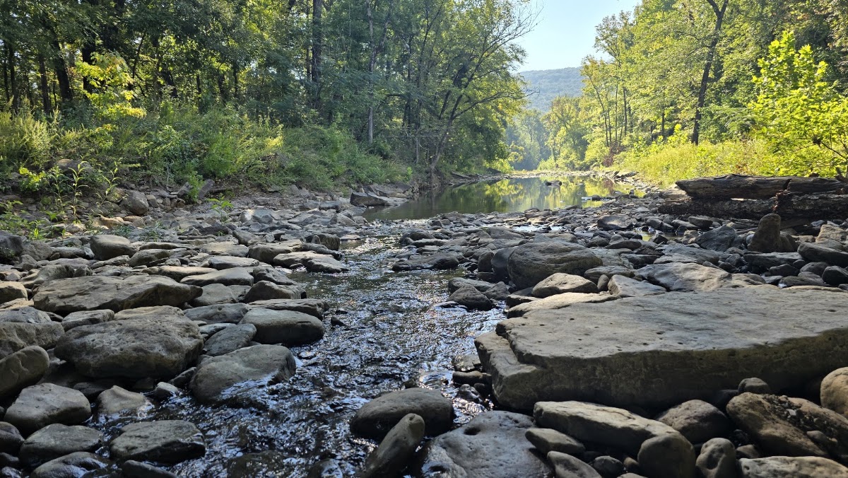 Lee Creek
