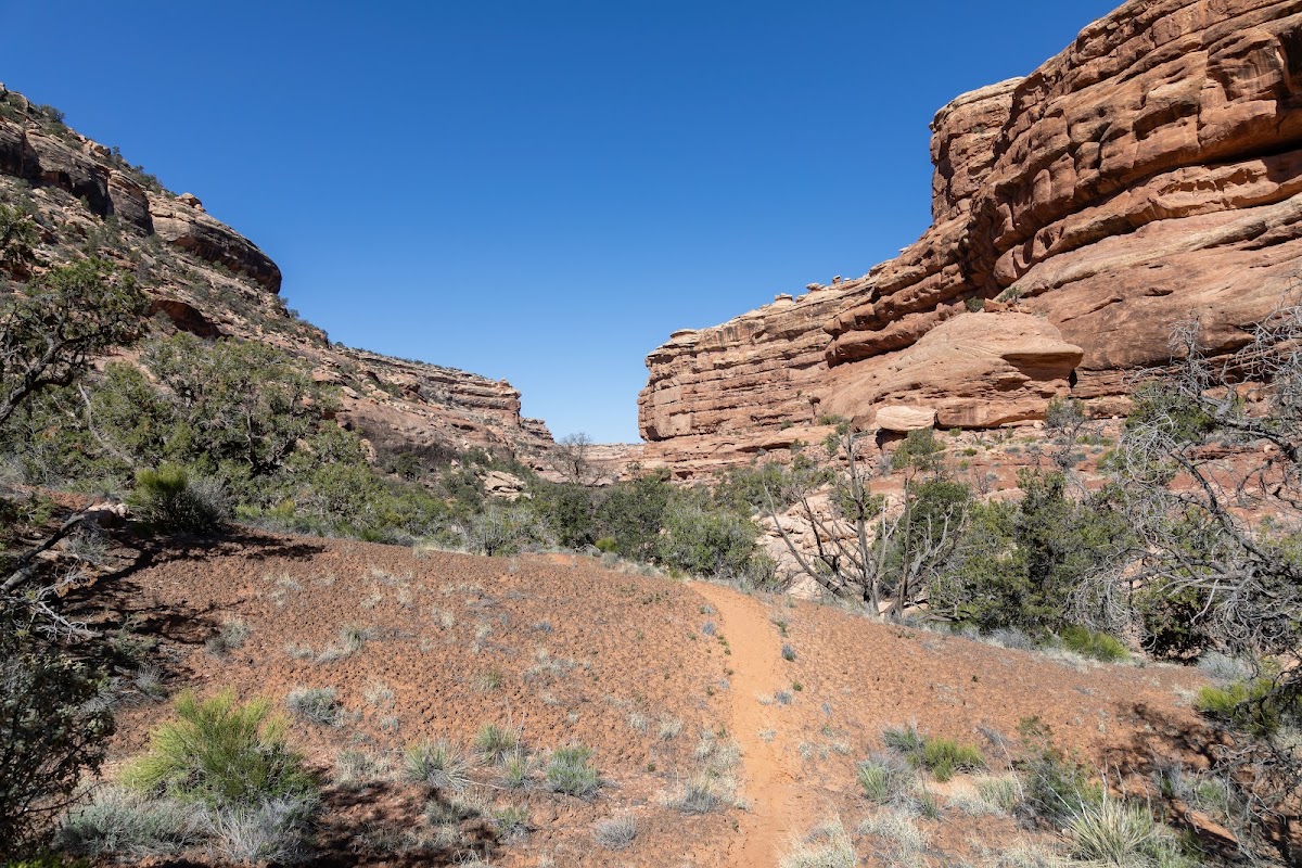 Slickhorn Canyon
