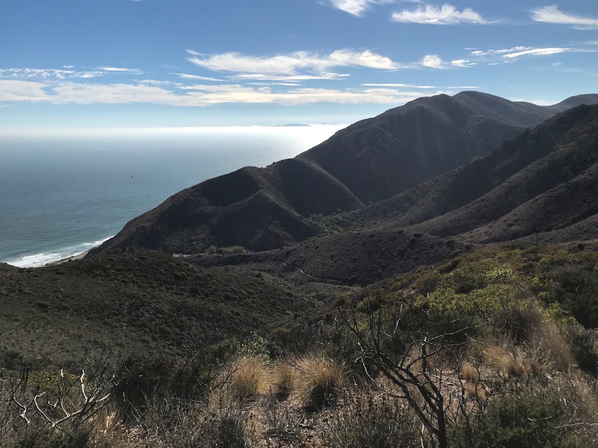 Ray Miller Trail (Backbone Trail)