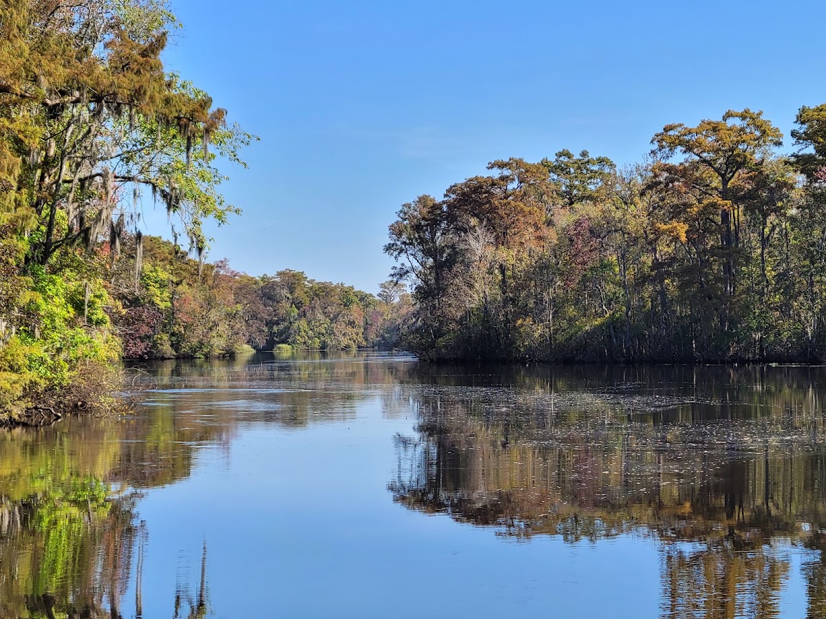 Waccamaw River