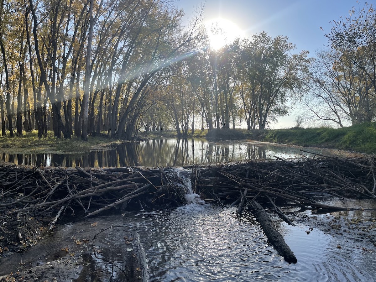 Pecatonica River