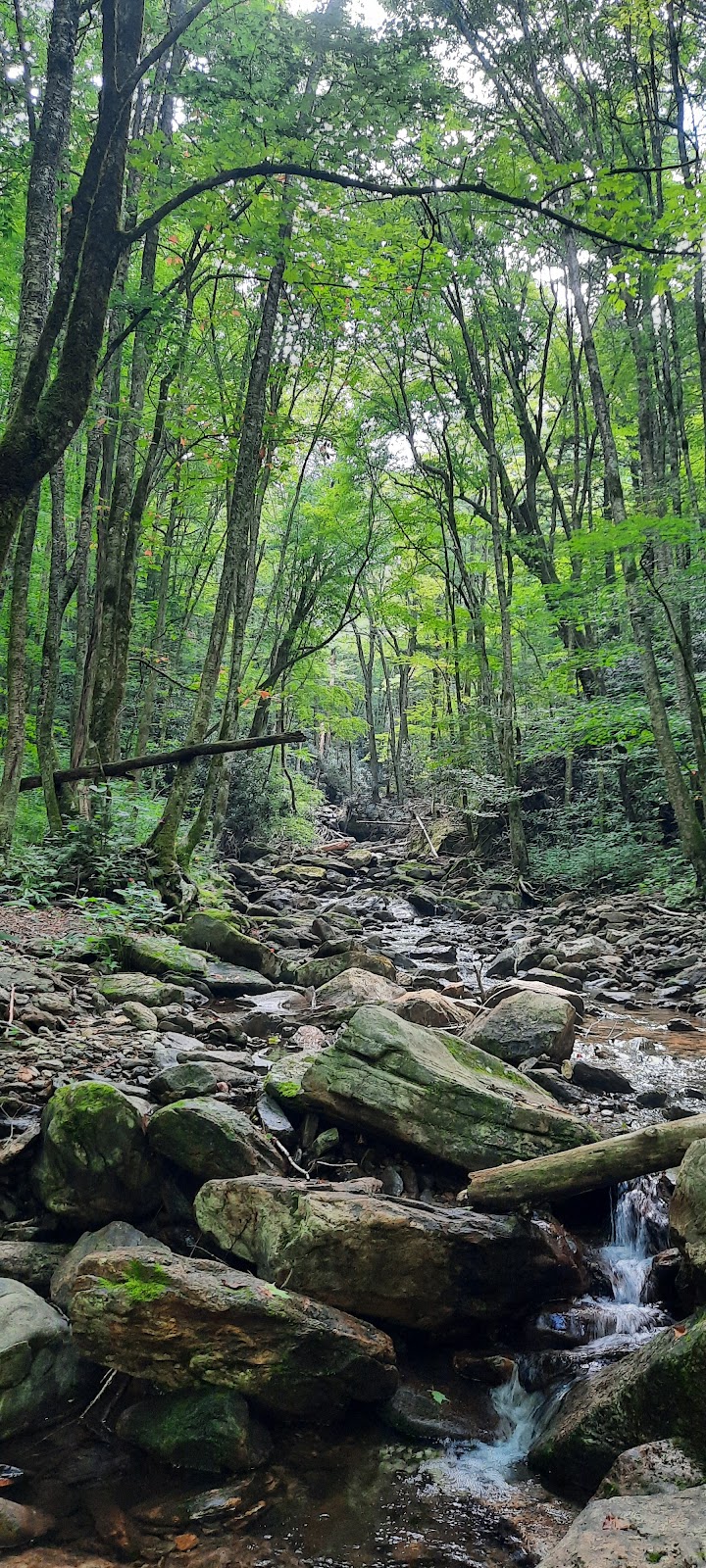 Little East Fork Trail