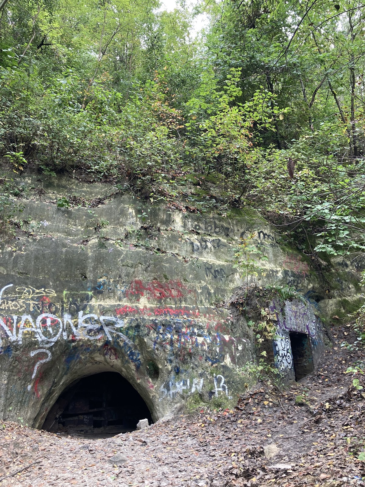 Lilydale Regional Park Brickyard Trail