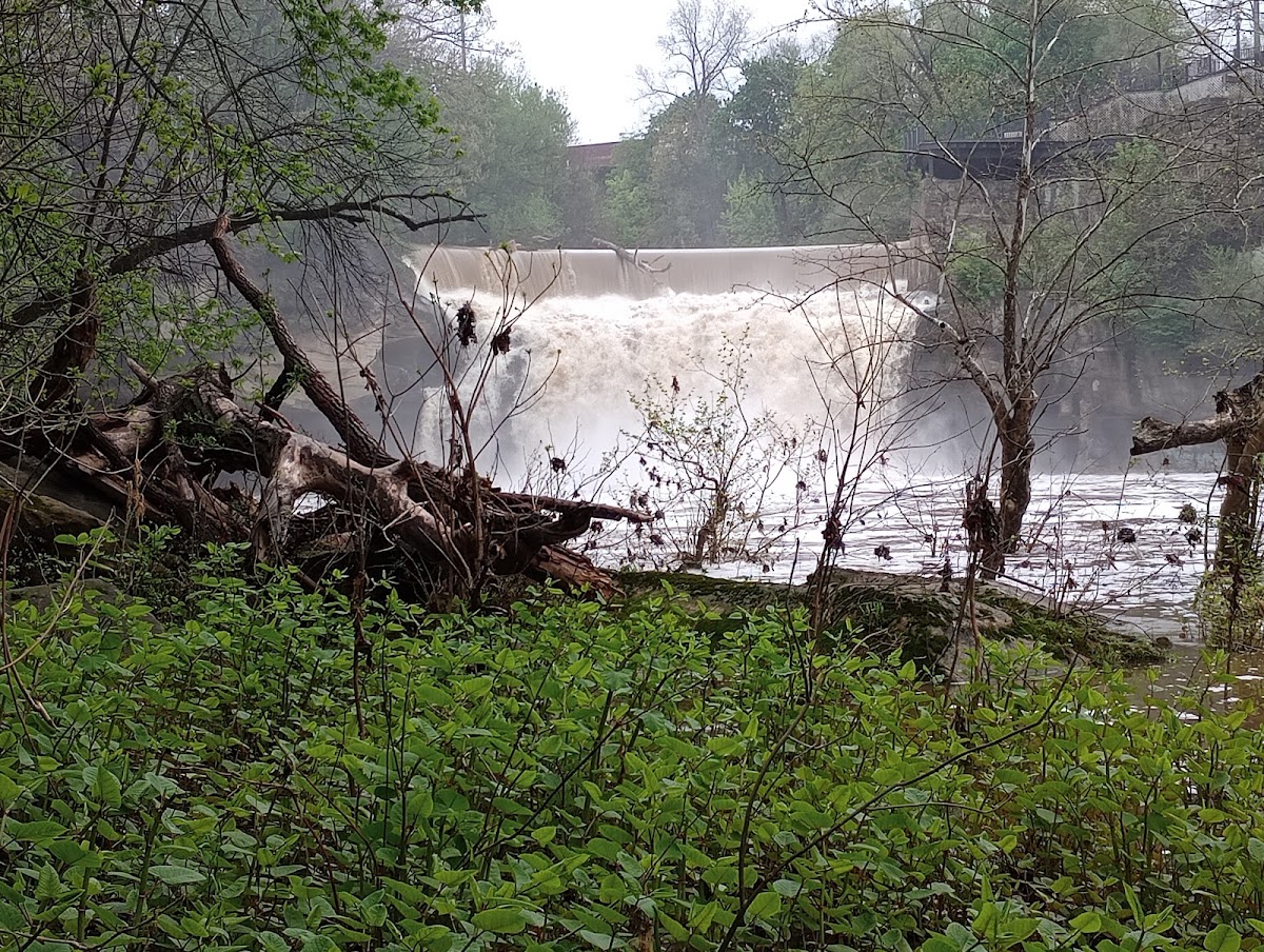 East Branch Black River