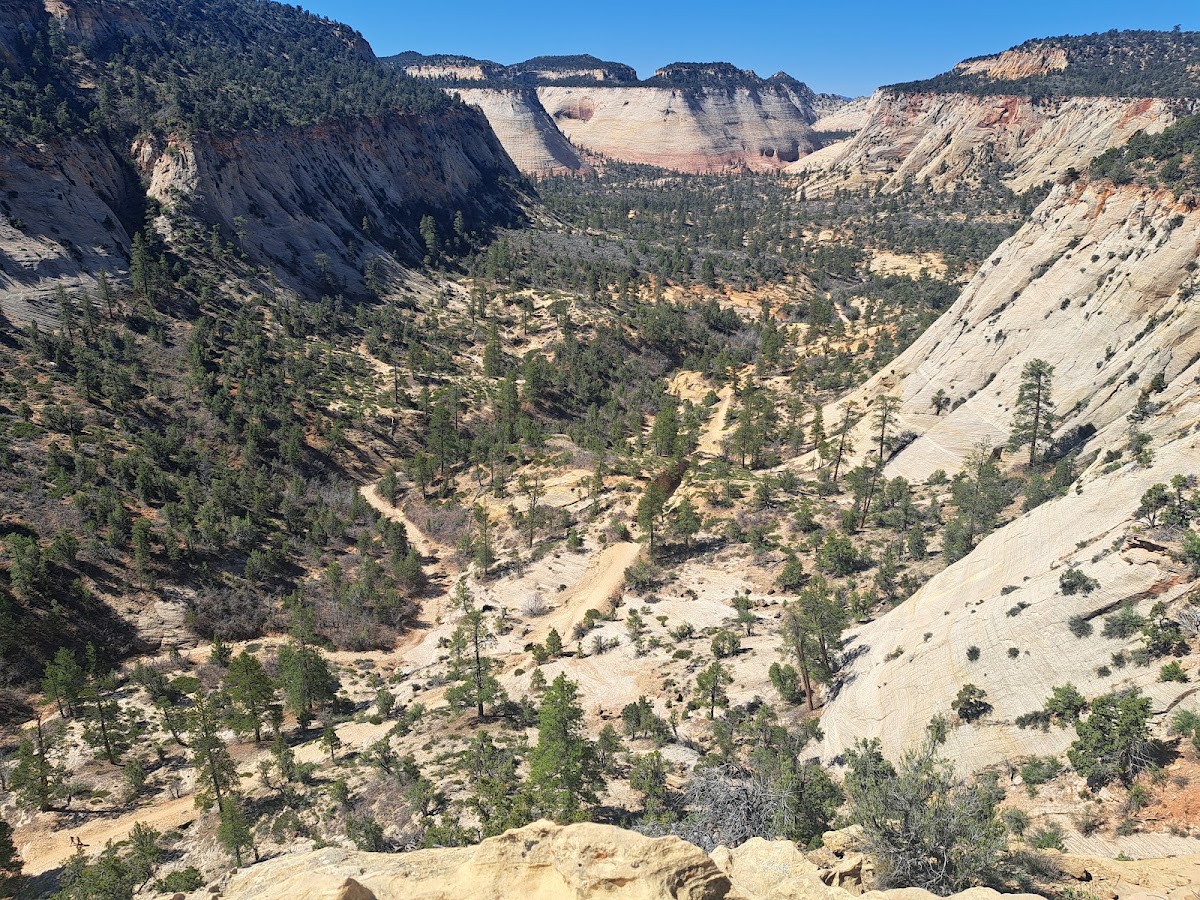 Fiddle-Me-This Canyon
