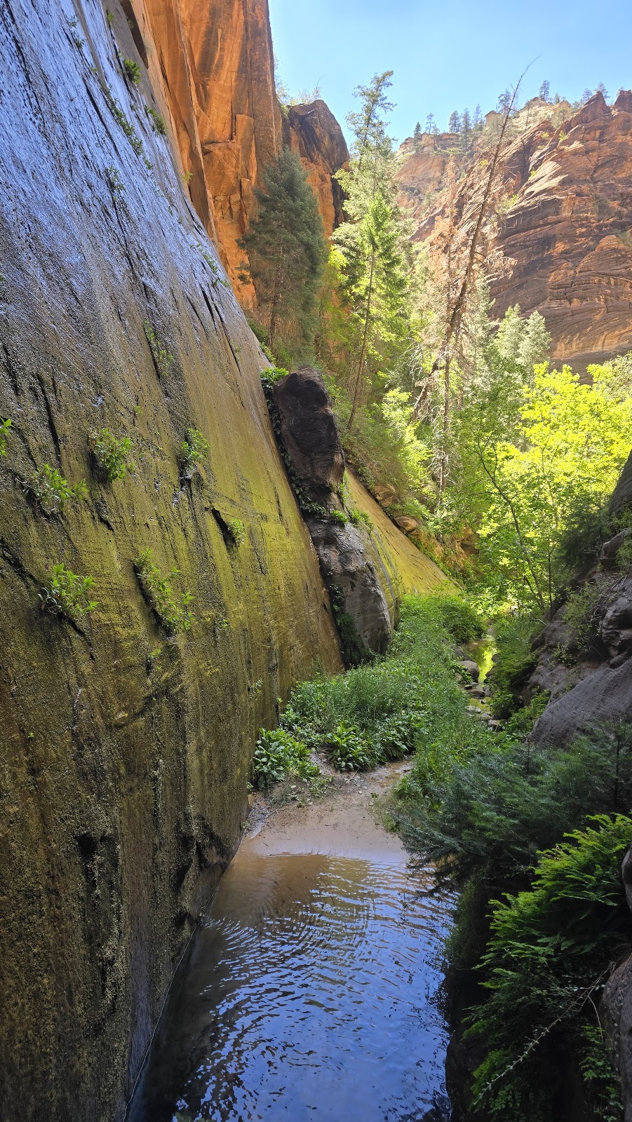Mystery Canyon