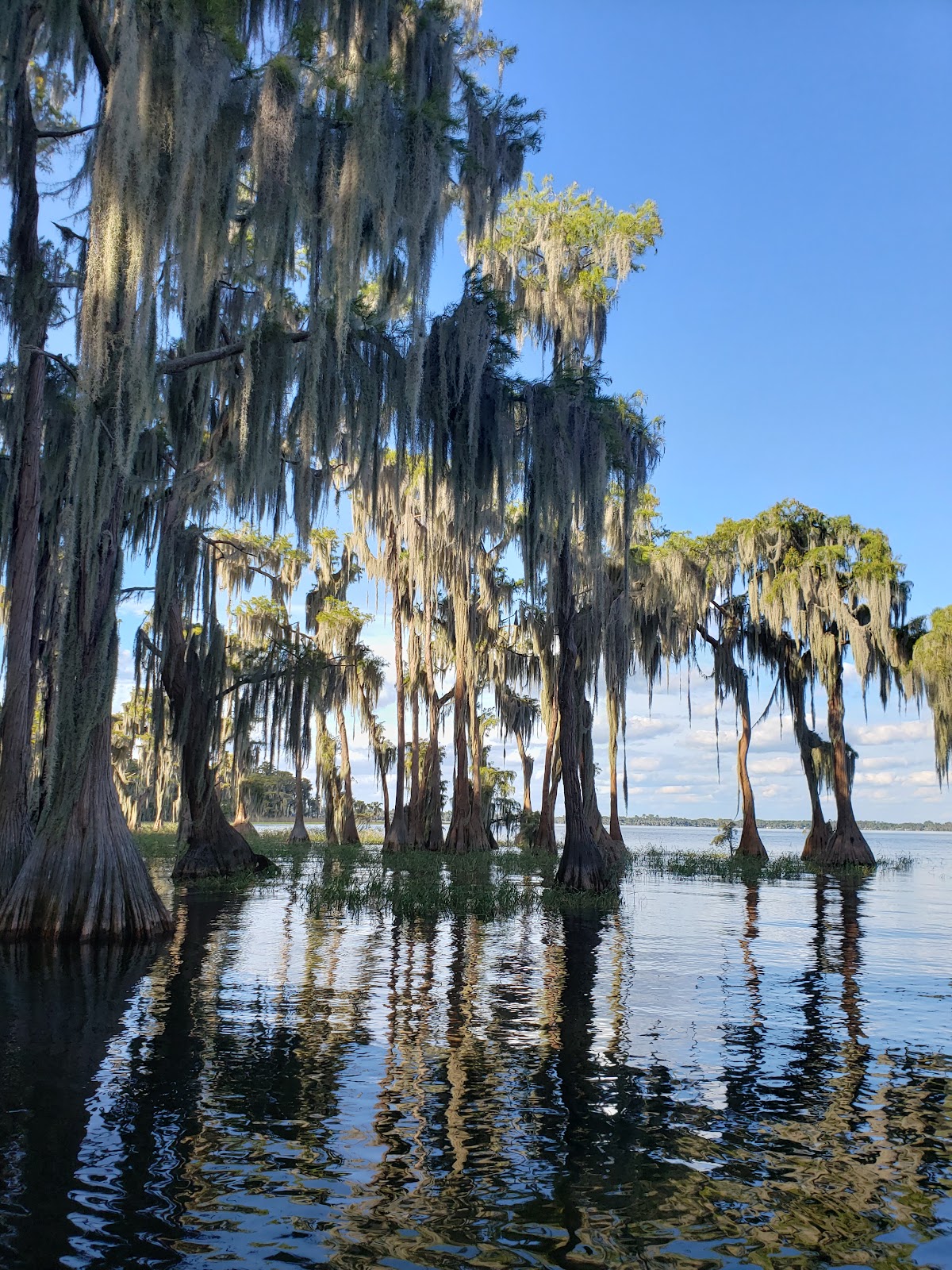 Lake Santa Fe
