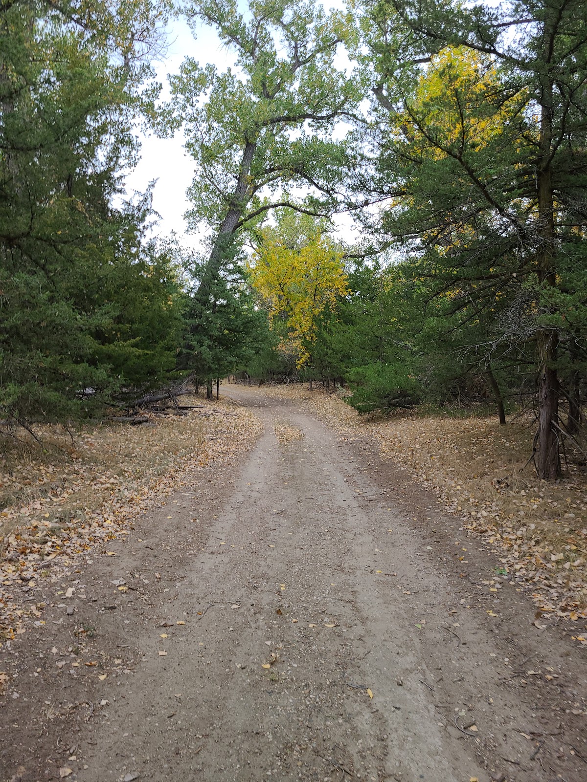 LaFramboise Island Nature Area