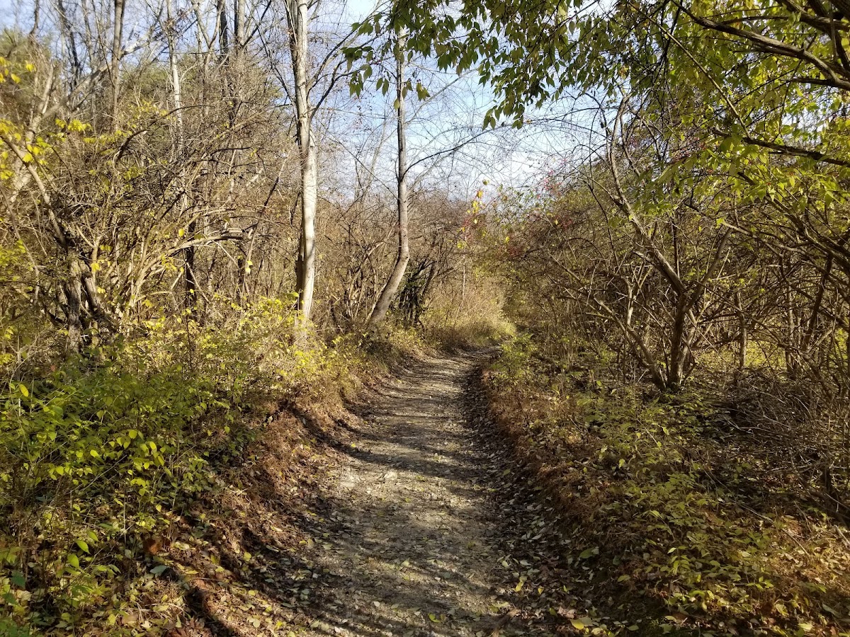 Claylick Loop Mountain Bike Trail