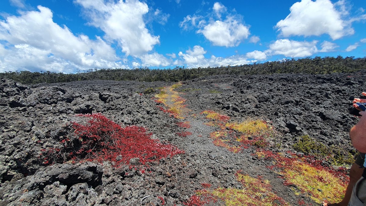 Puu Oo Horse Trail