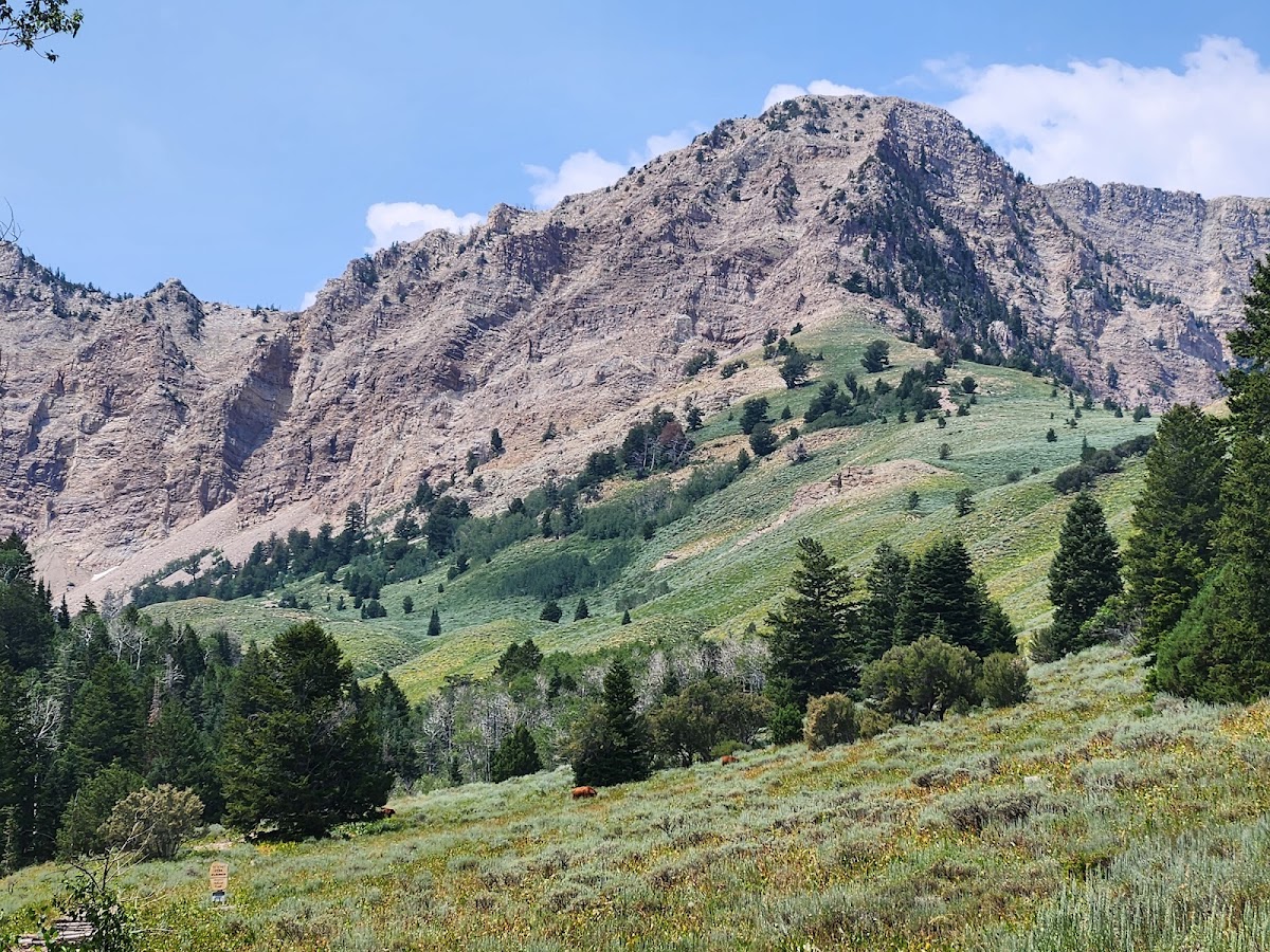 Stansbury Crest Trail
