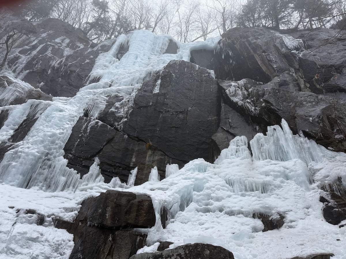 Sawyer Pond Trail