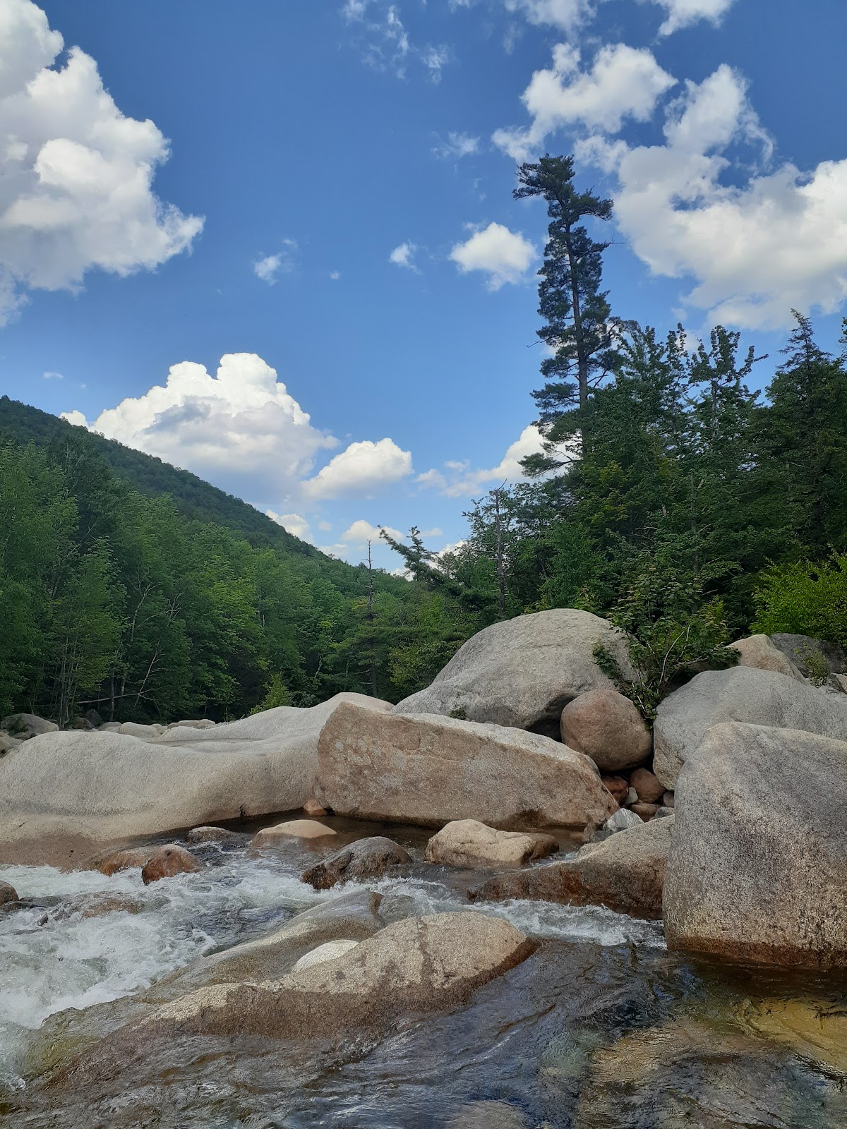 Sawyer River Trail