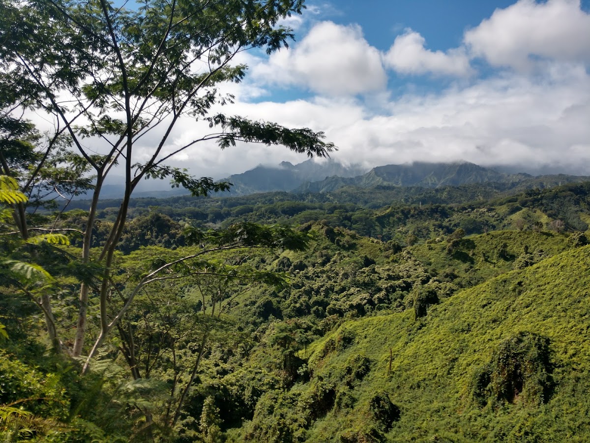 Moalepe Trail