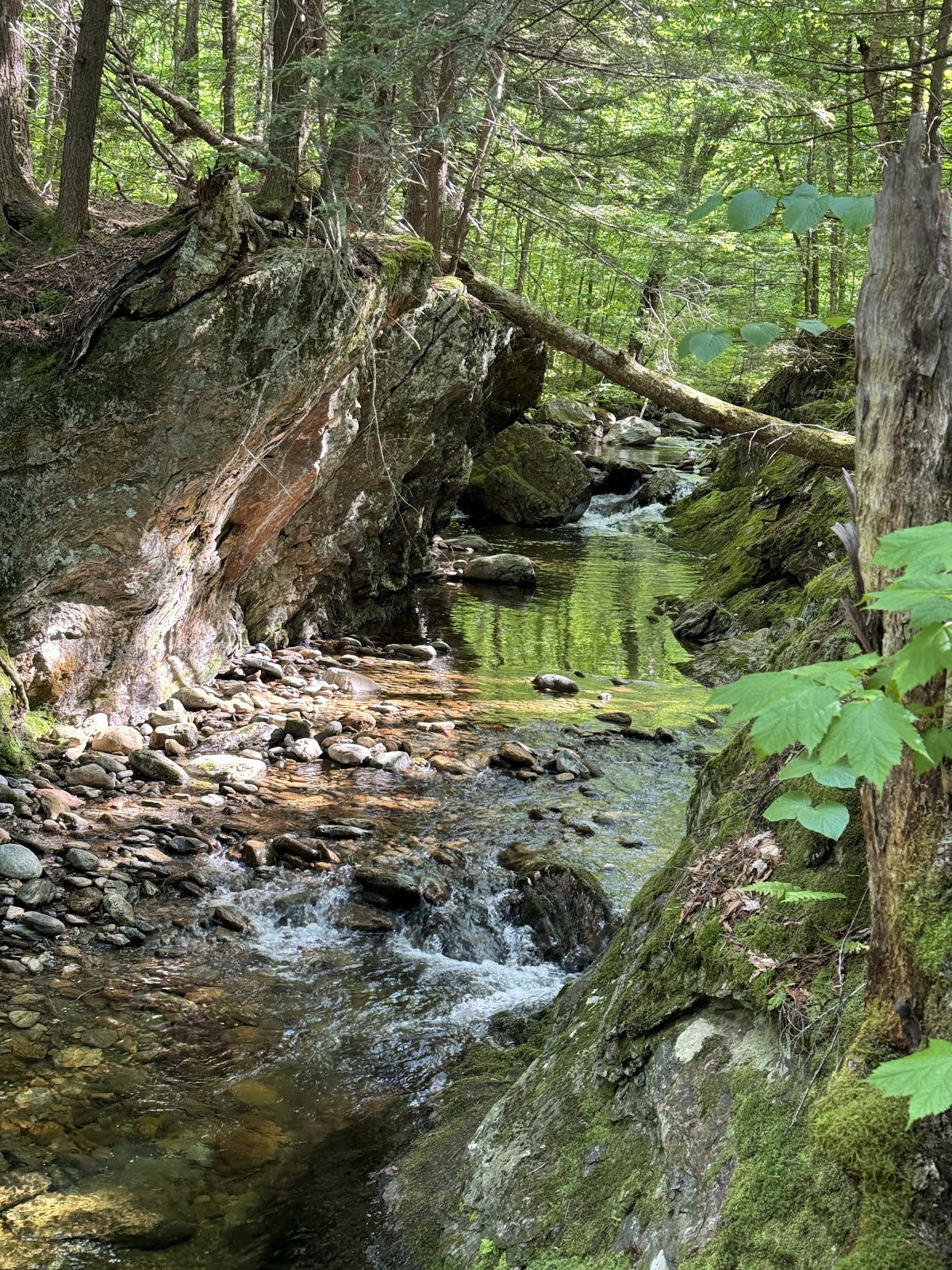 Bolton - Trapp Trail