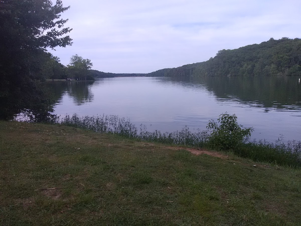 Laurel Hill Lake