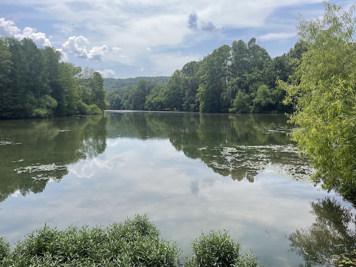 City Lake
