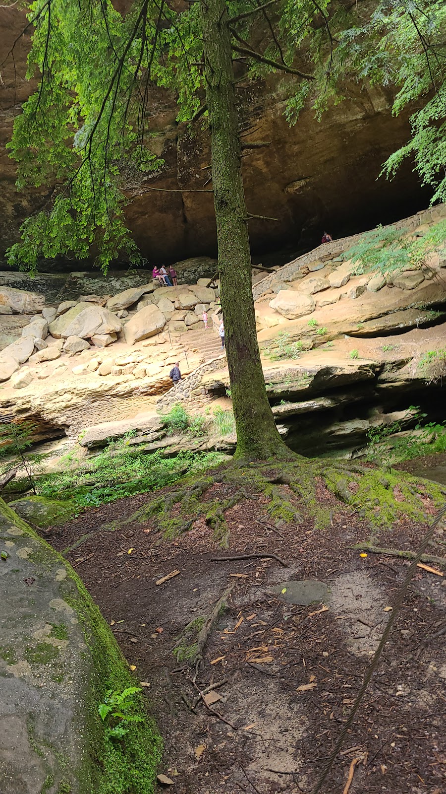 Salt Creek