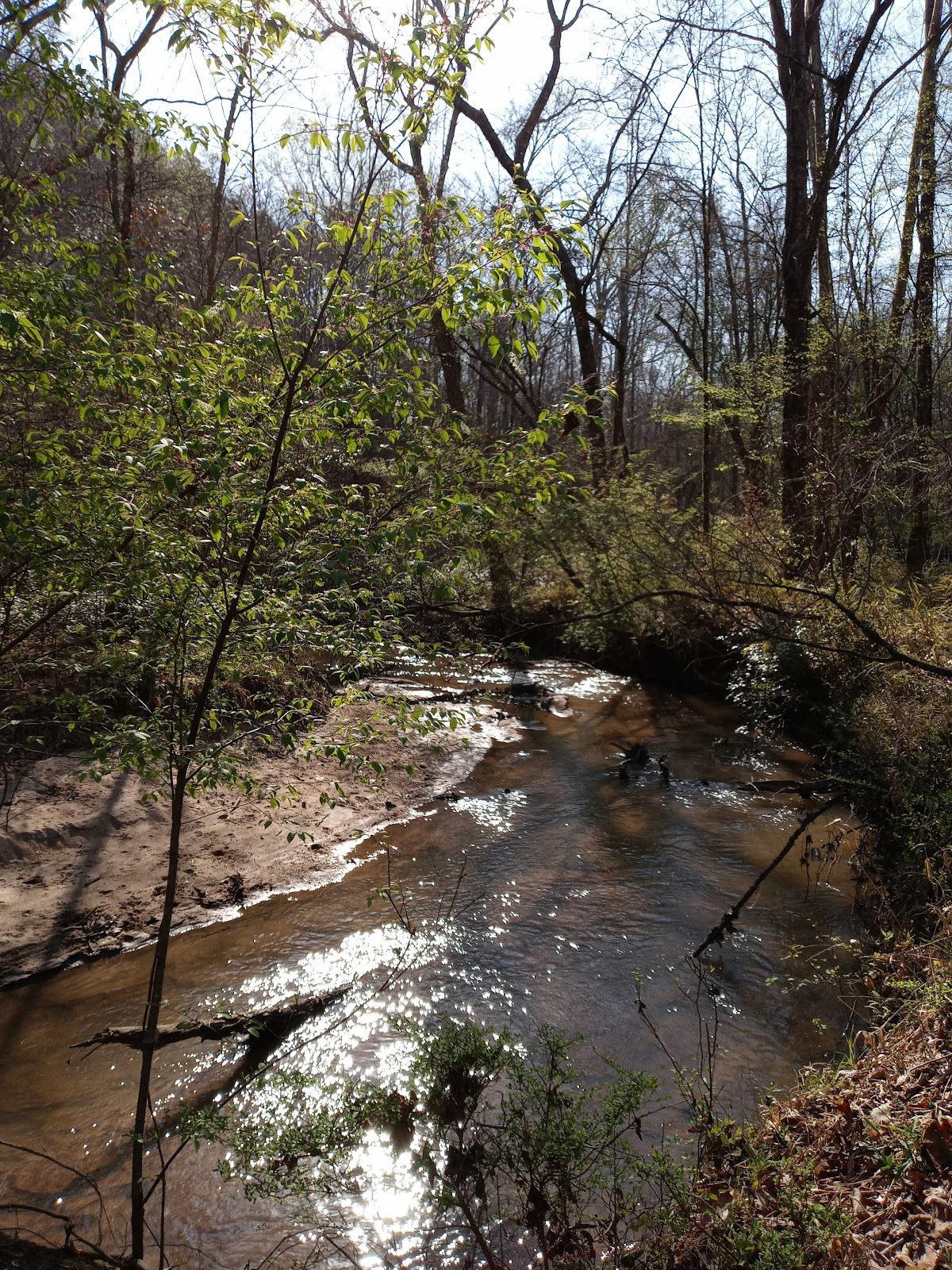 Bush Head Shoals Access Park