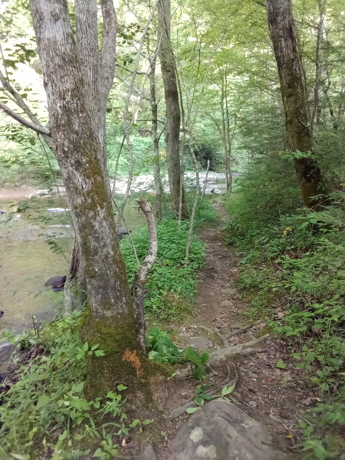 Clear Creek Trail No. 379