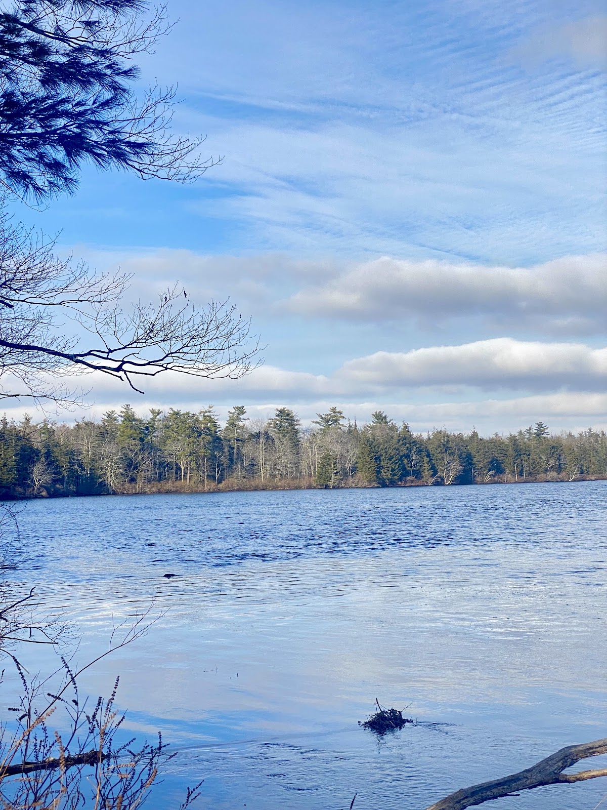 Powwow Pond