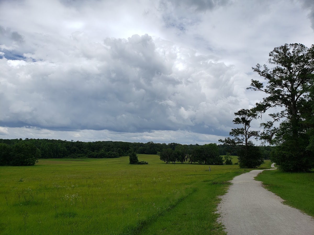 Miccosukee Canopy Road Greenway