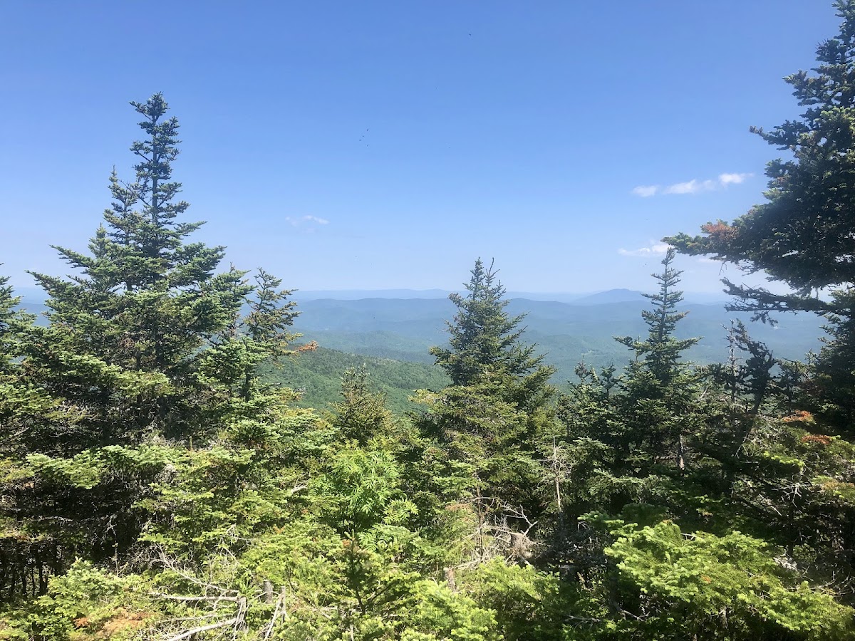 Shrewsbury Peak Trail