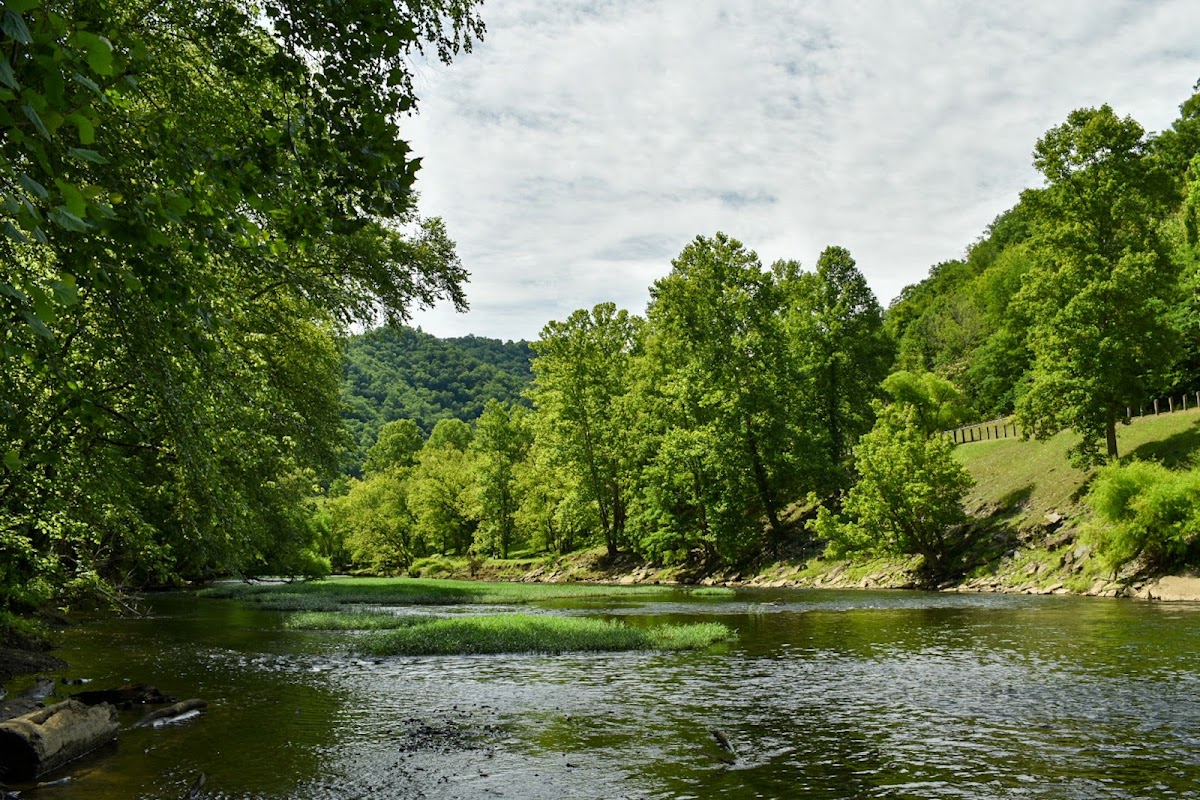 Levisa Fork