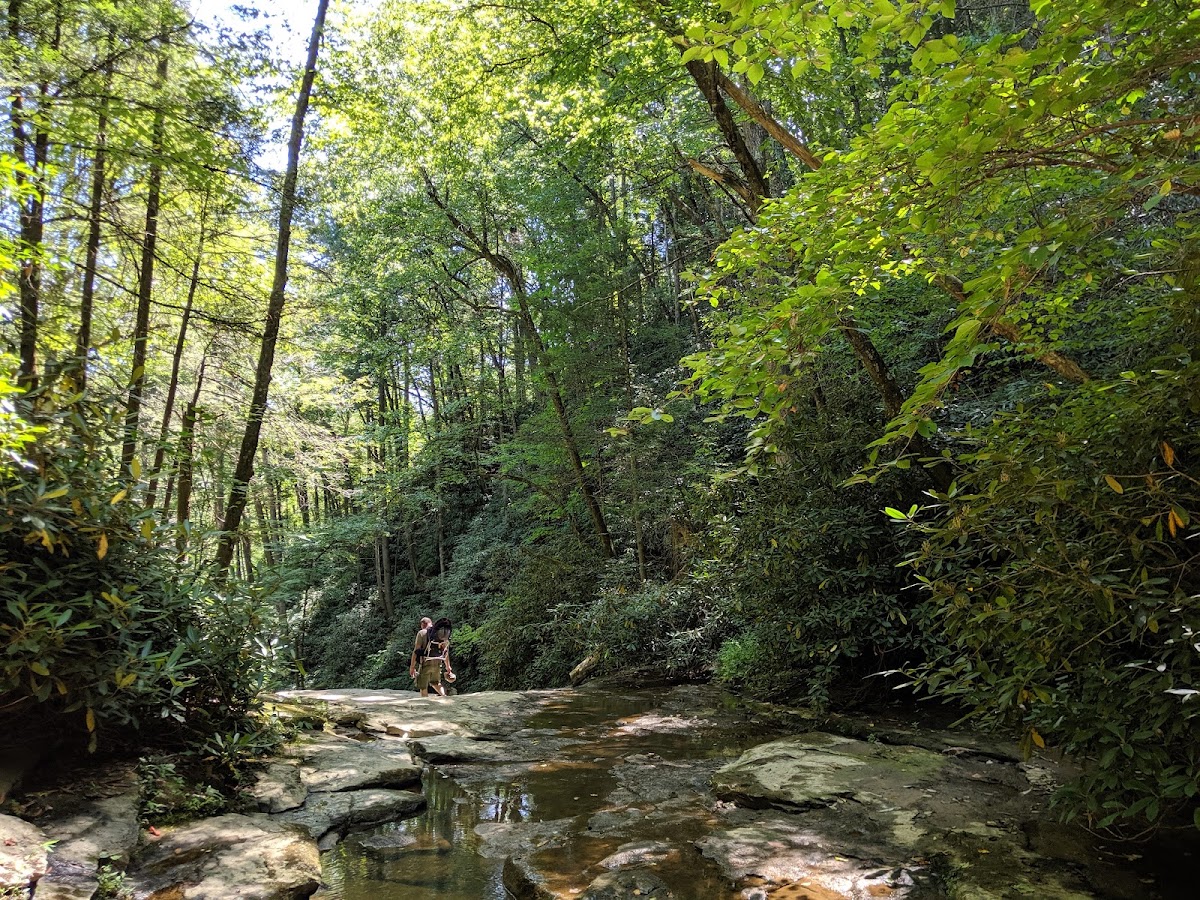 Marsh Fork