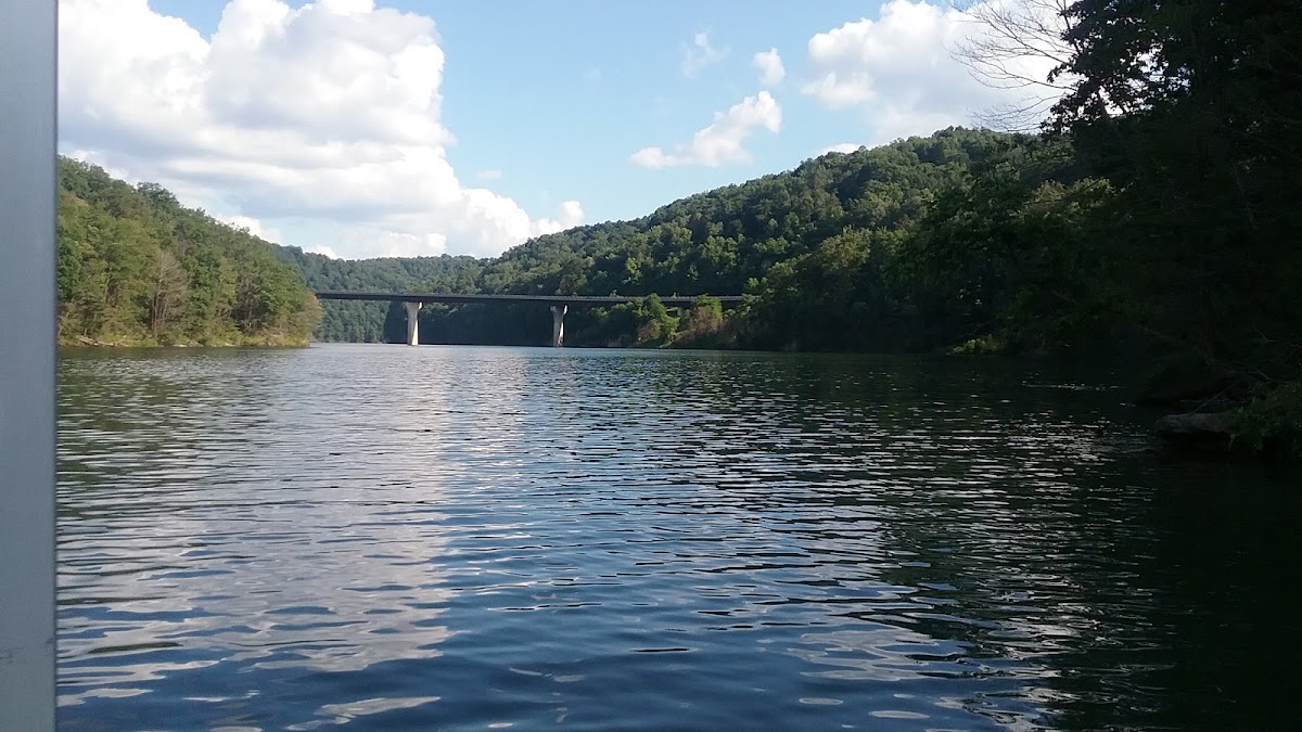 Muddlety Creek