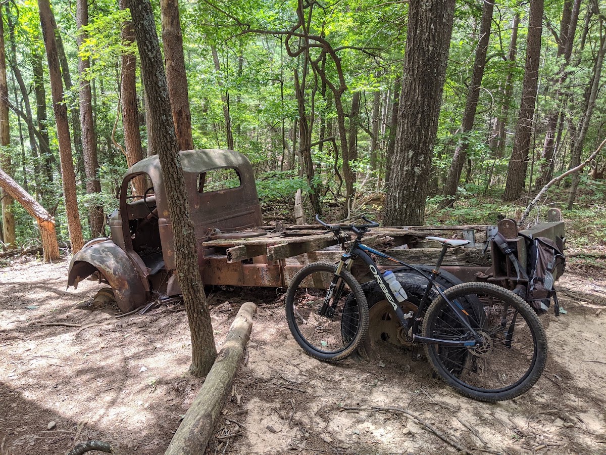 Bull Mountain Trail